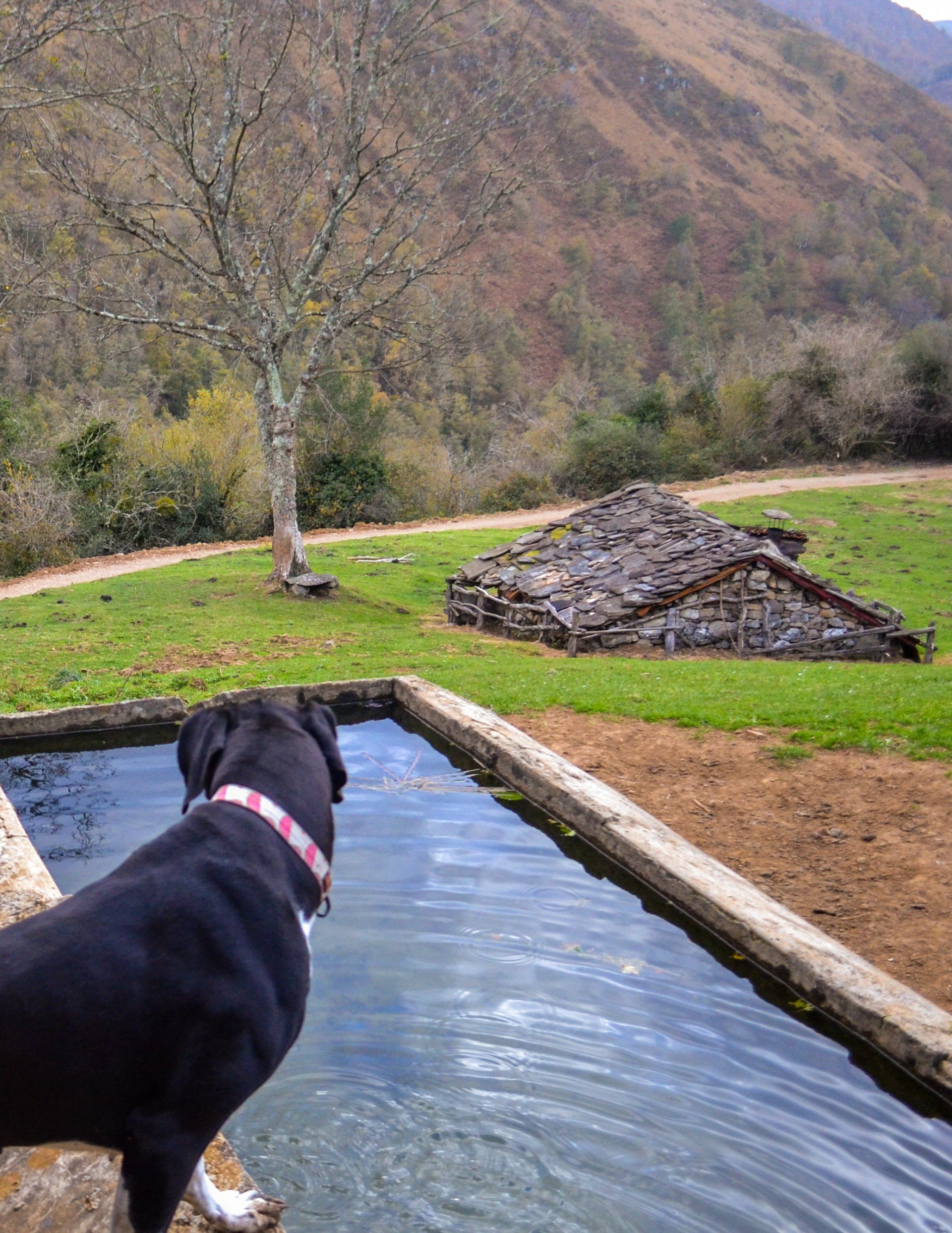 finca la naguada alrededores