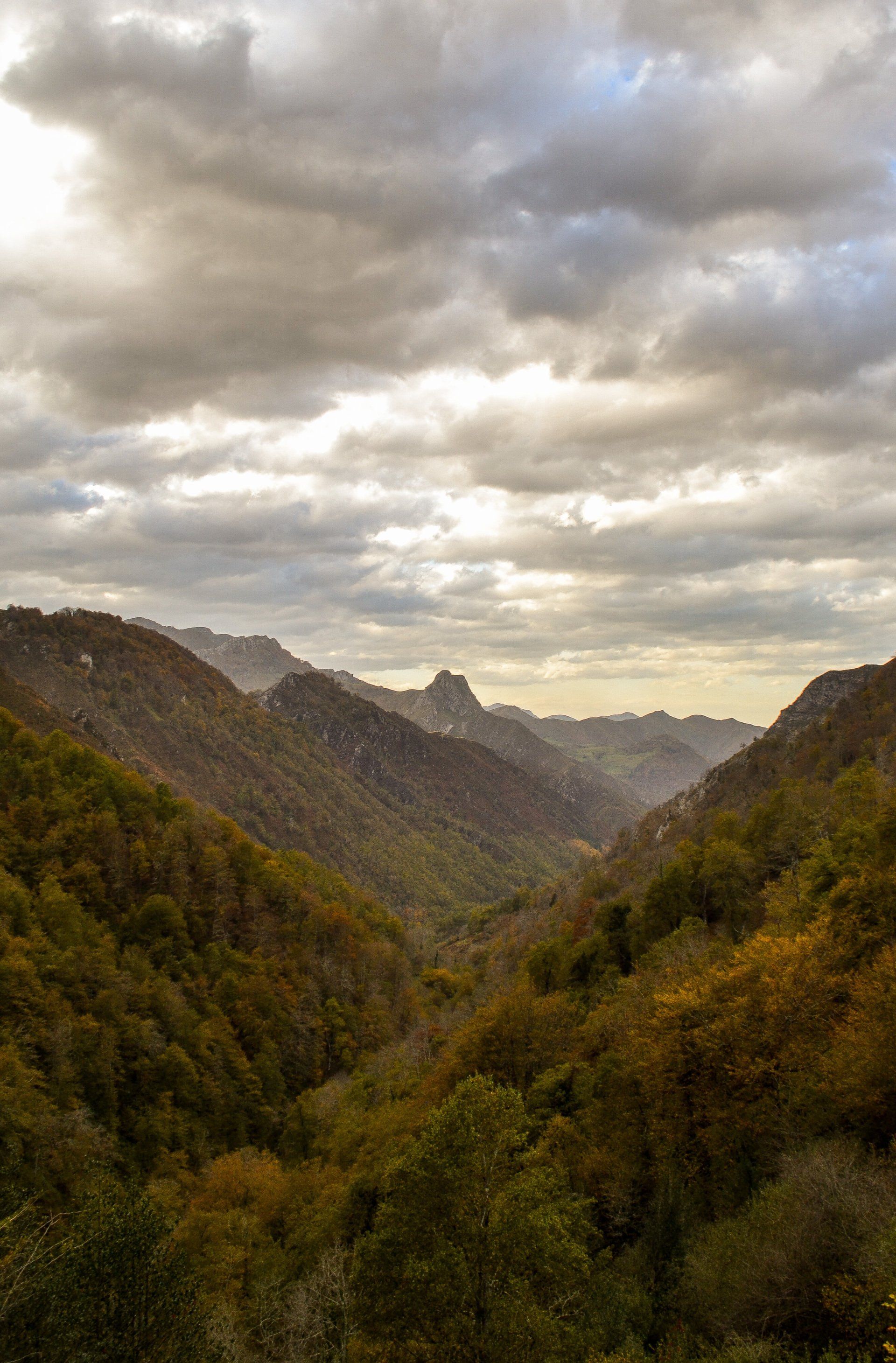 finca la naguada alrededores