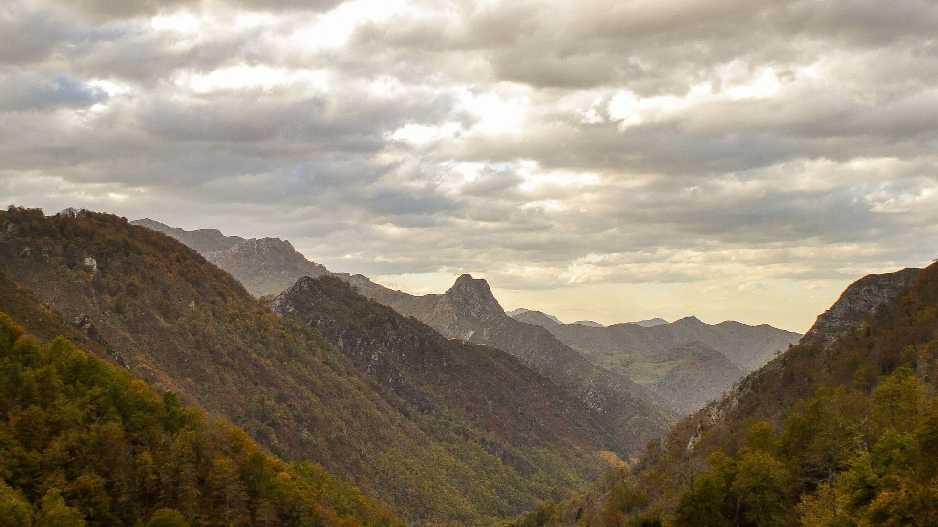 finca la naguada alrededores