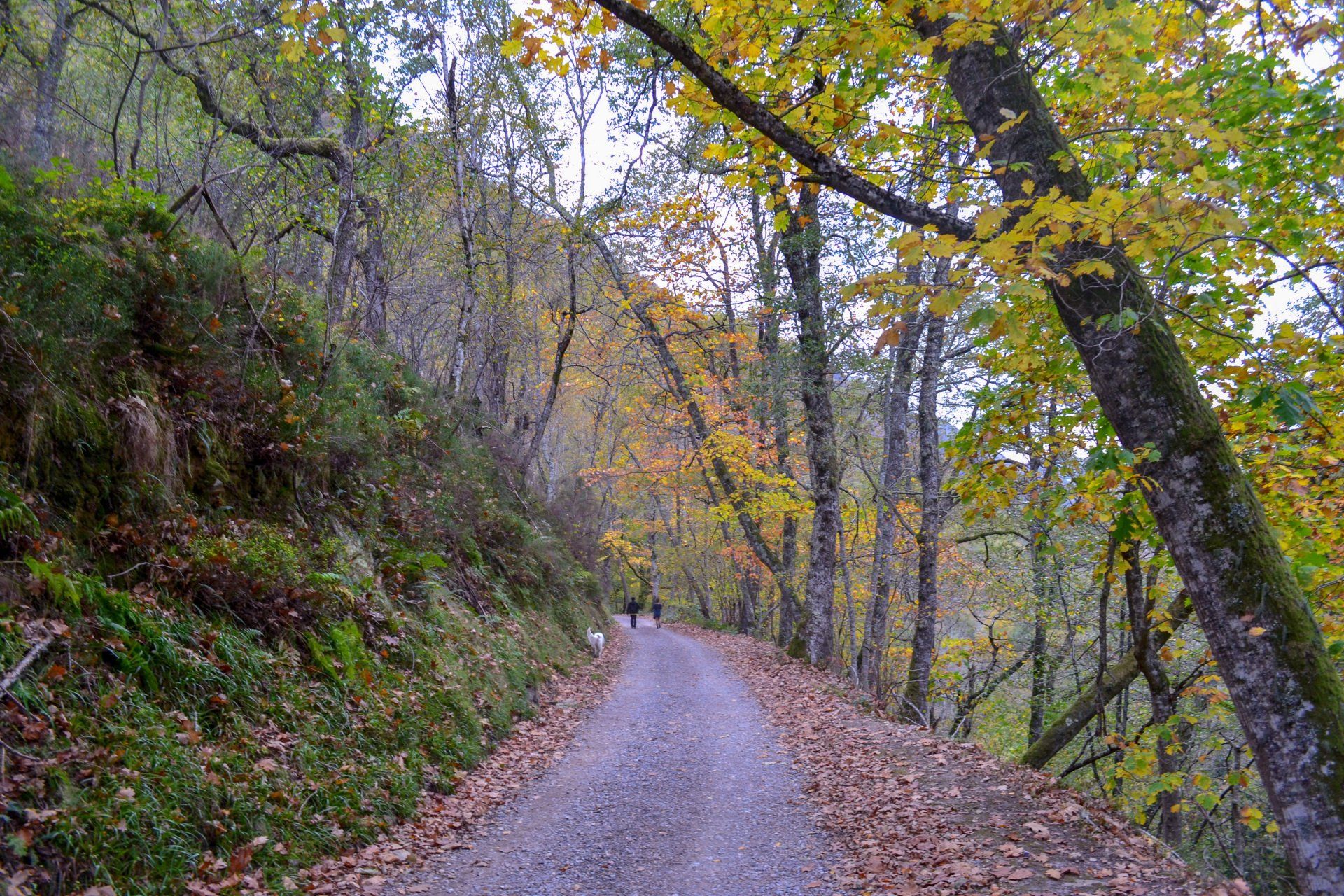 finca la naguada alrededores