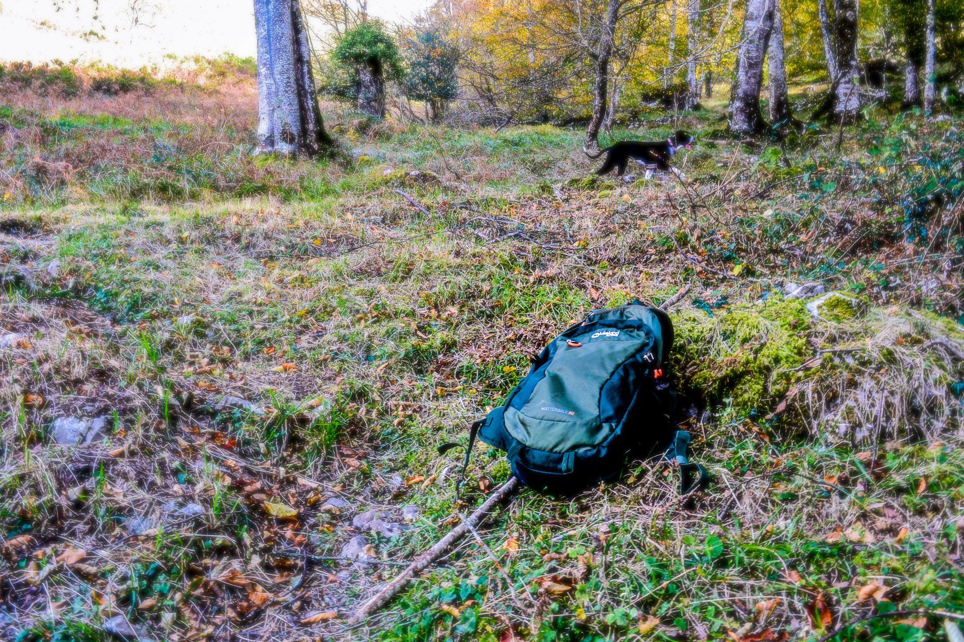 finca la naguada alrededores