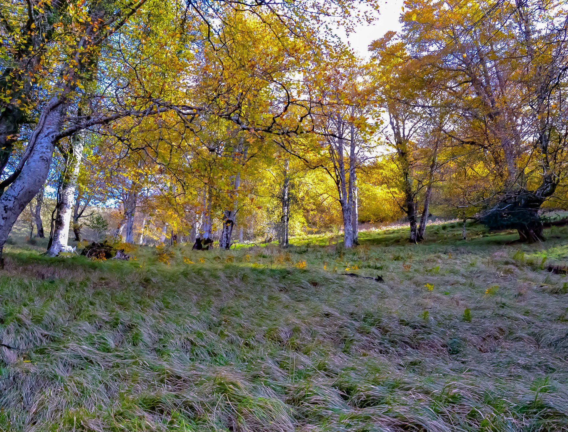 casa rural en asturias
