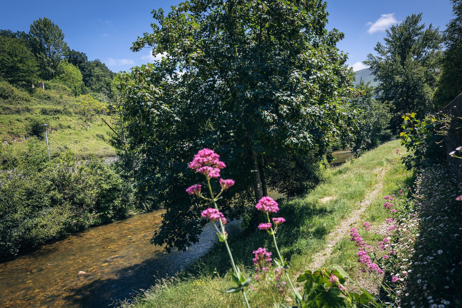 finca la naguada infiesto