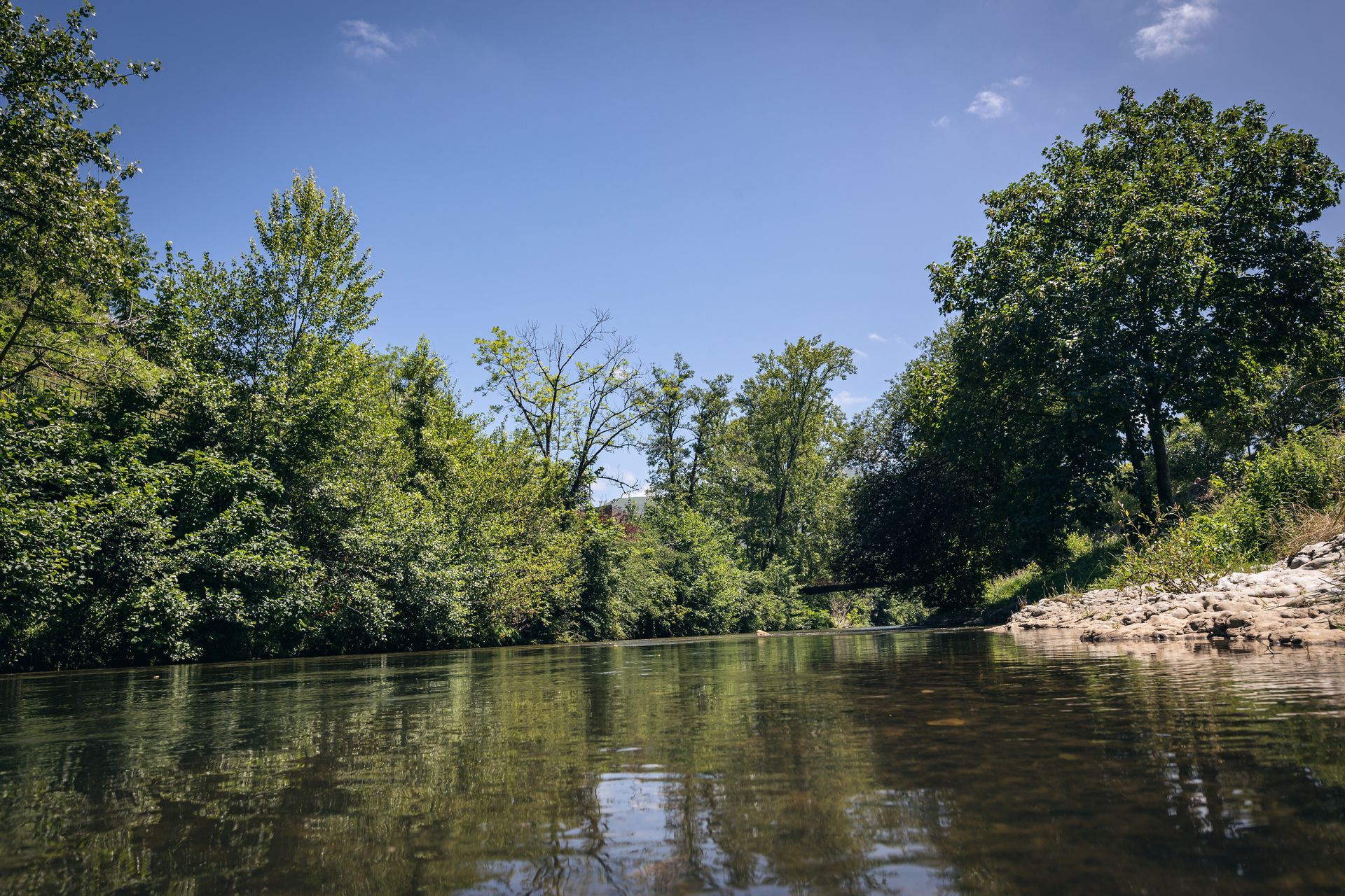 finca la naguada infiesto