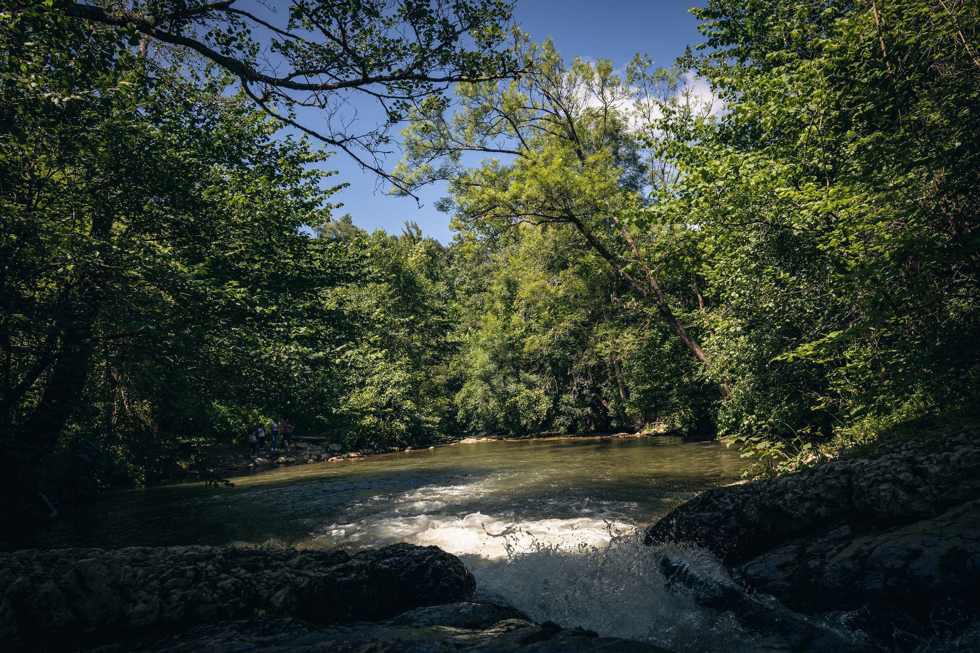 finca la naguada alrededores