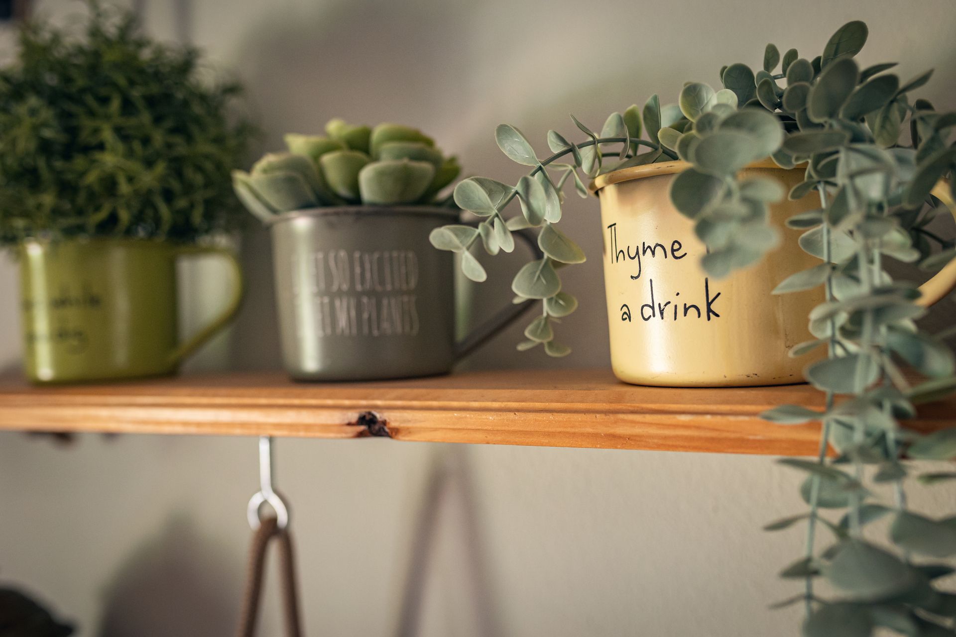 finca la naguada casa rural en infiesto