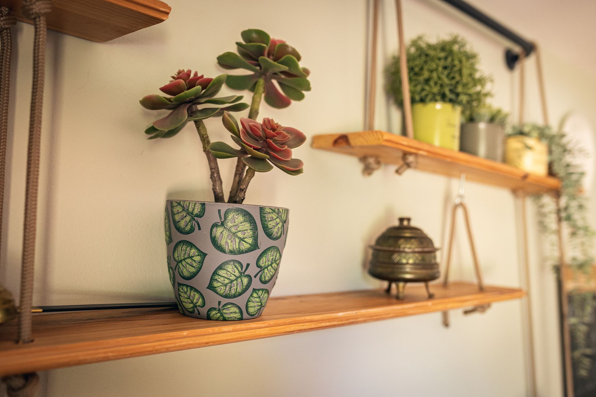 finca la naguada cocina