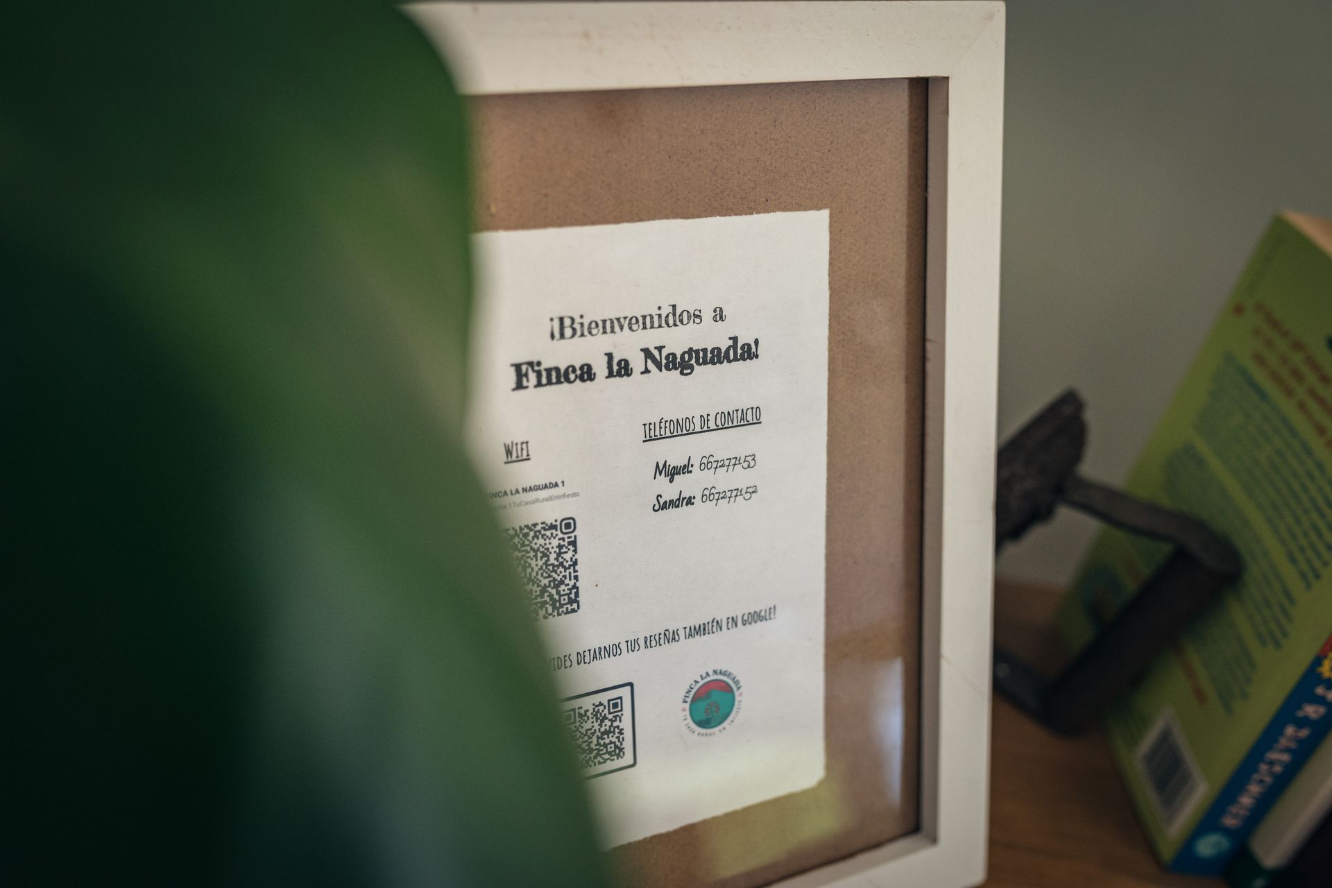 finca la naguada casa rural en infiesto