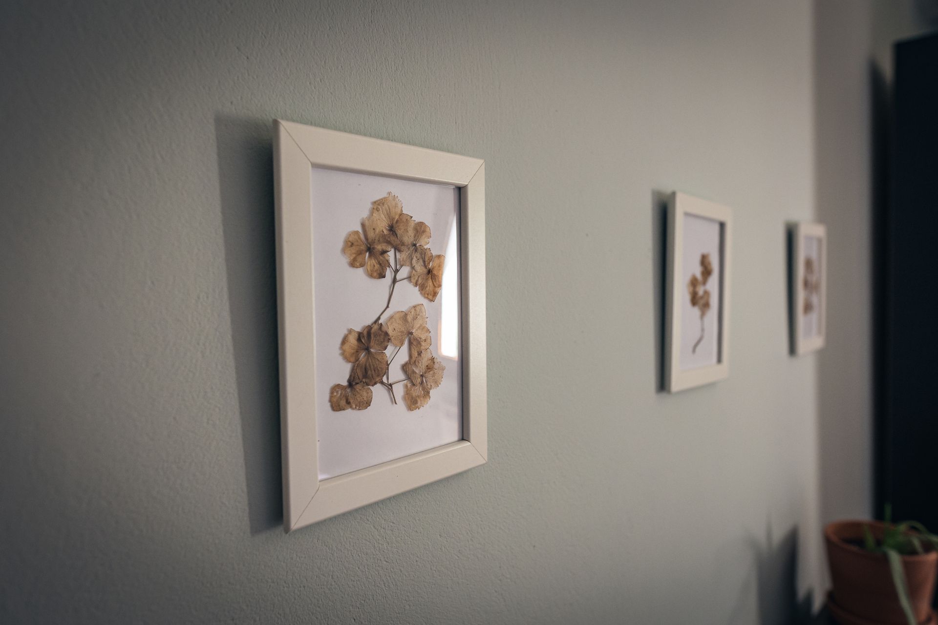 finca la naguada habitaciones