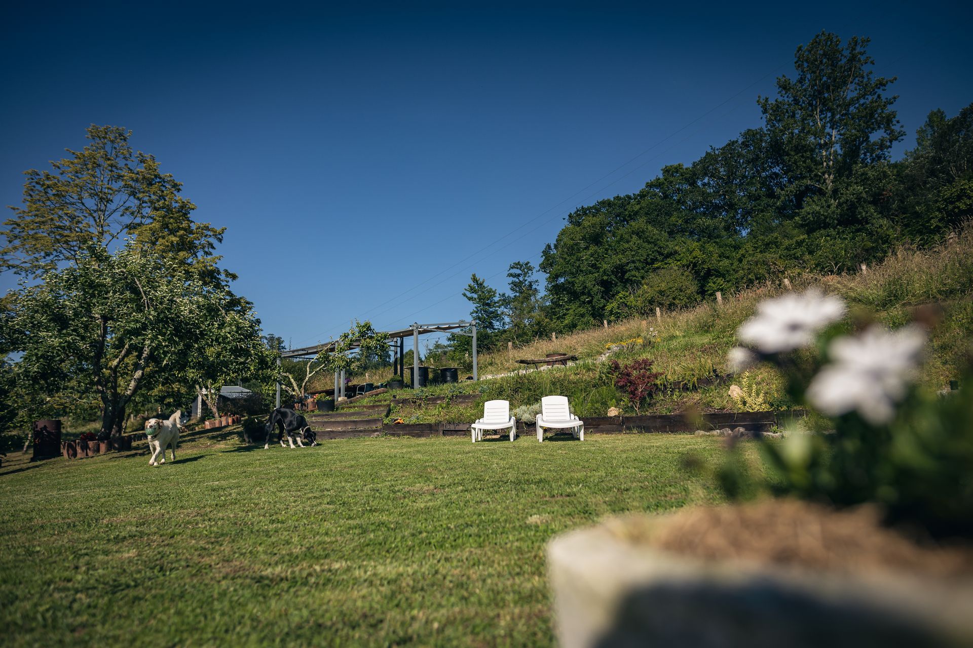 finca la naguada casa rural en infiesto
