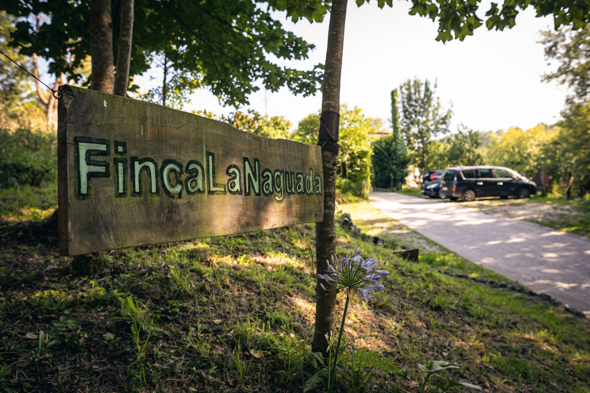 finca la naguada casa rural en infiesto