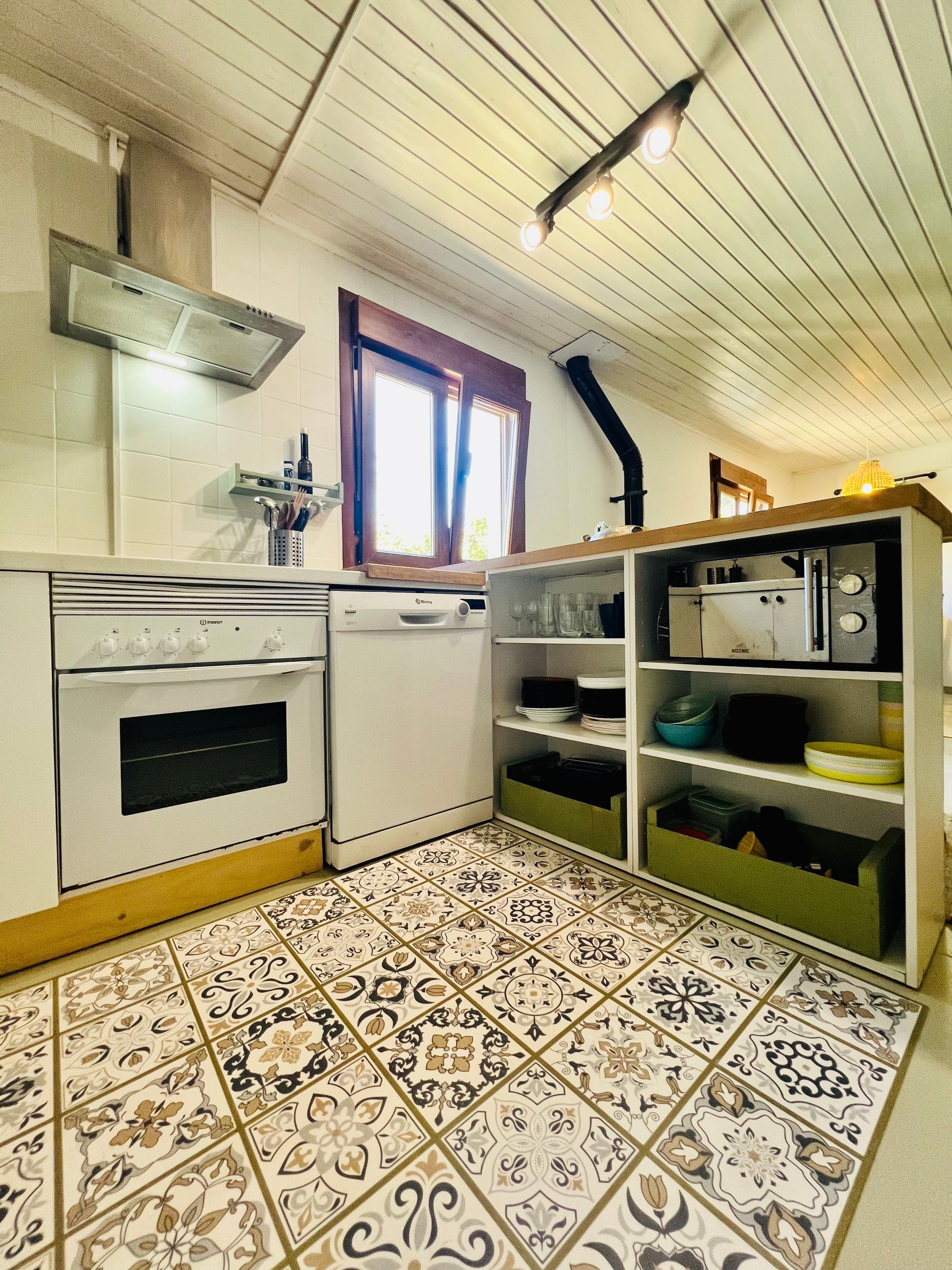 viajar con perro asturias