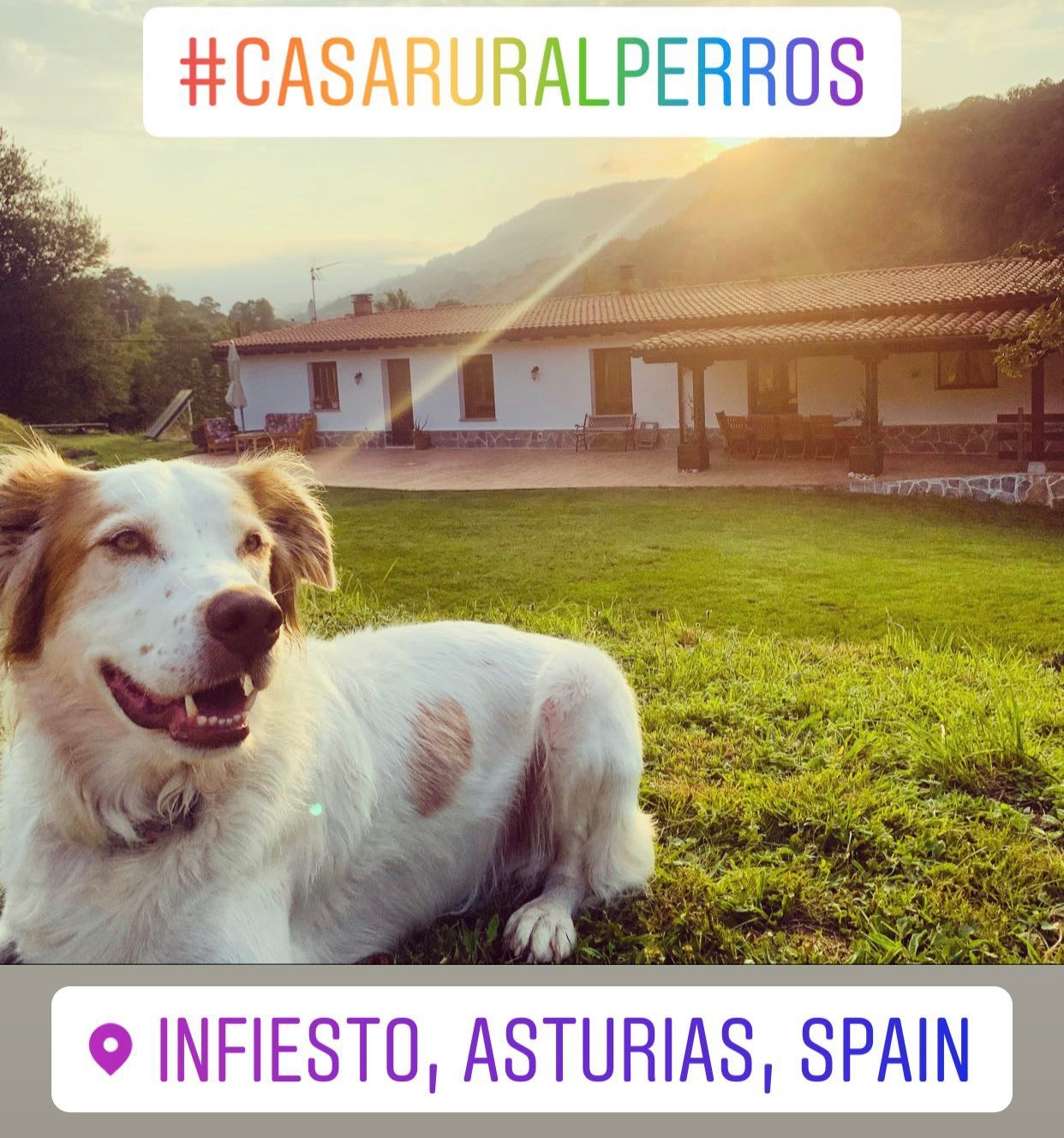 Haz clic para ir a Casa Rural en Infiesto CASA RURAL CON PERRO ASTURIAS