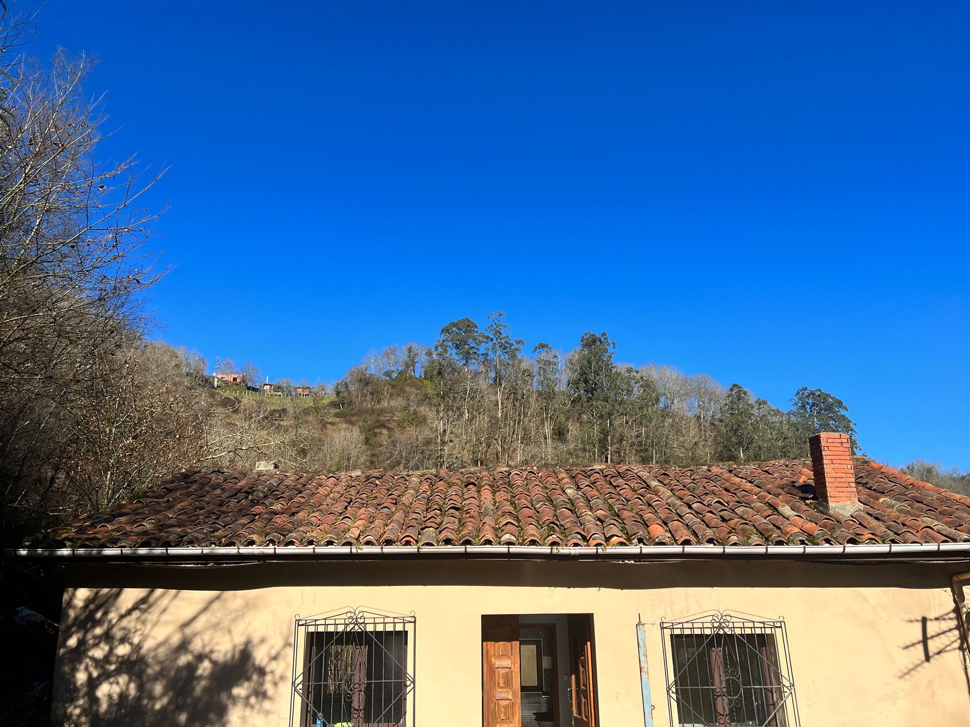 vega de espinaredo 2023