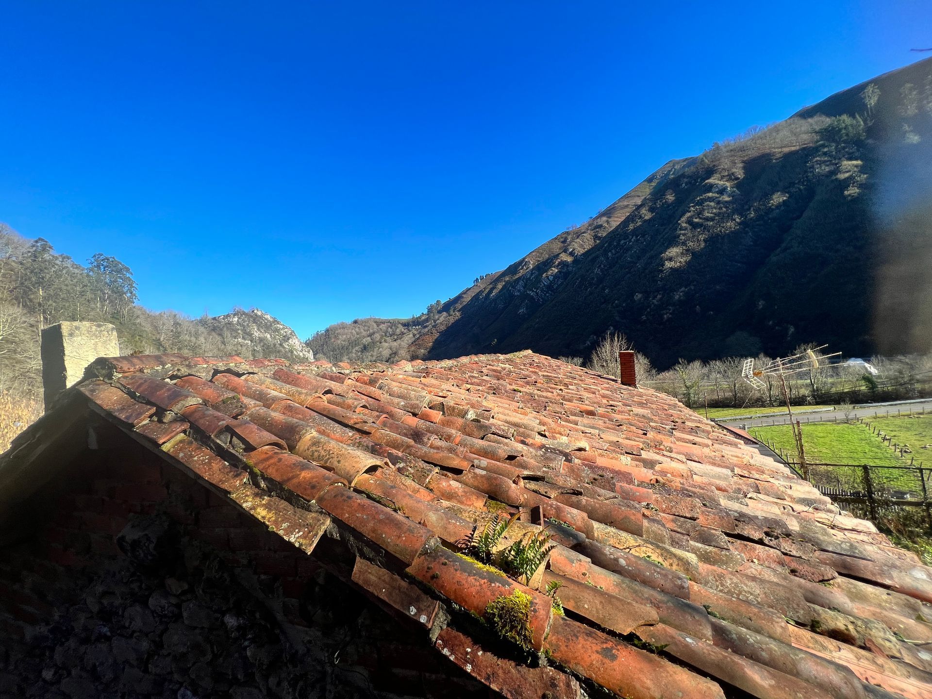 vega de espinaredo 2023