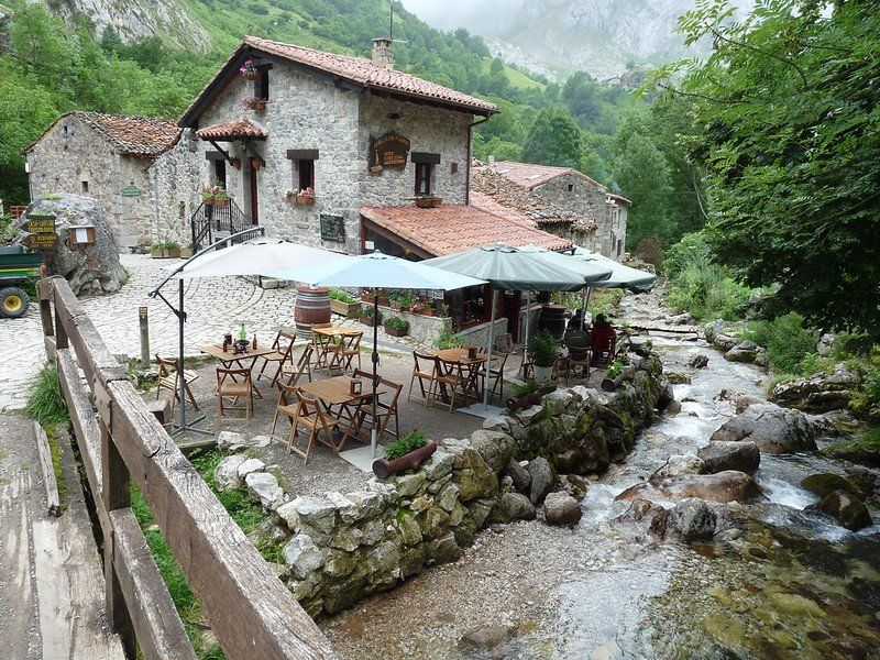 sidra en las terrazas de bulnes