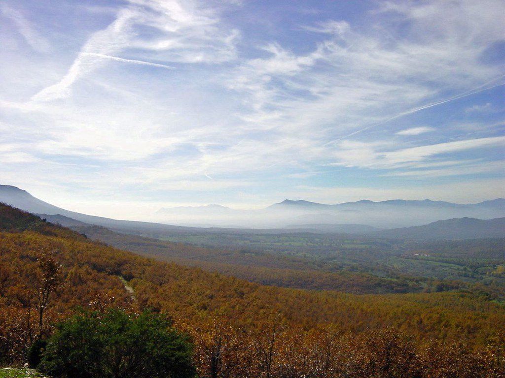 el hayedo de montejo de la sierra