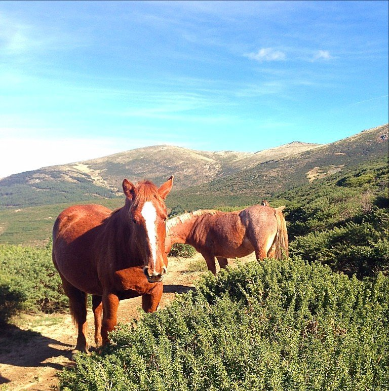 ruta pico tres provincias
