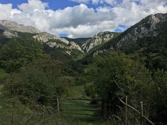 parque natural de redes