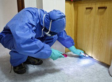 fumigacion-barcelona