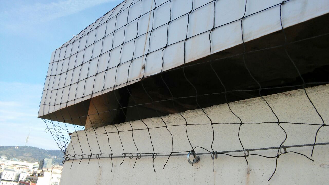 redes antipalomas-barcelona