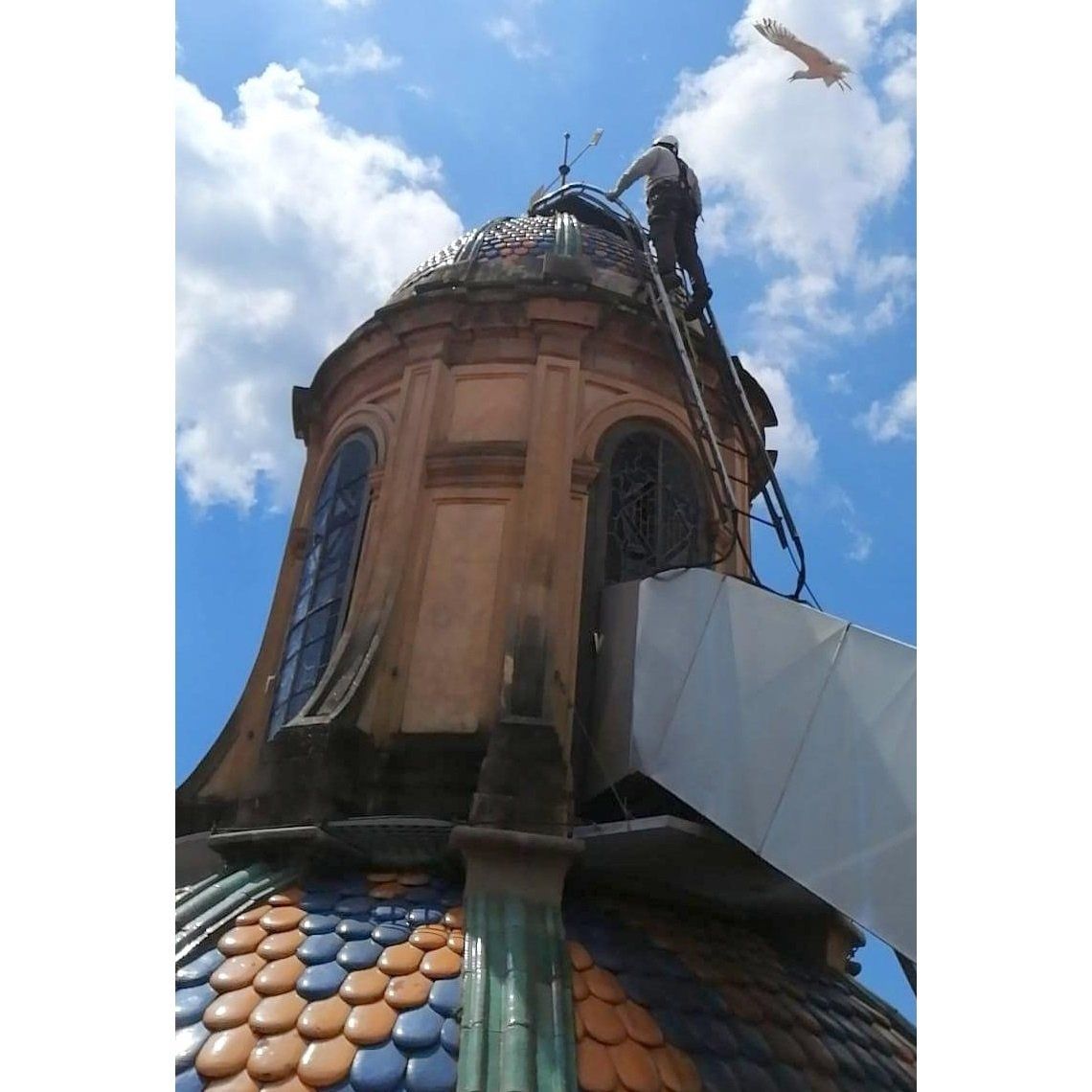 plagas-edificios-altura