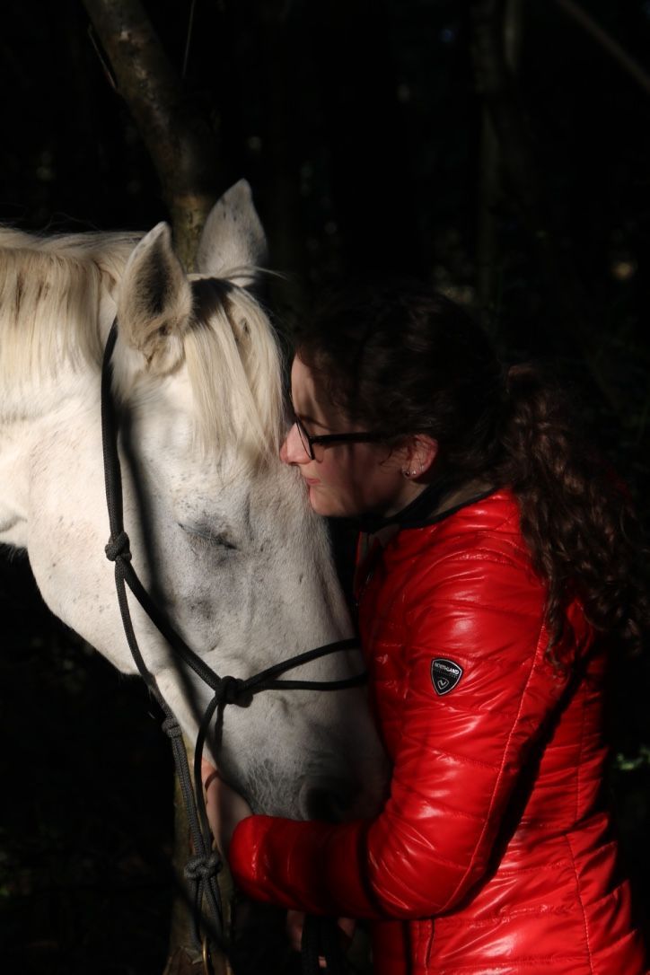 Sitz&Sattel-Analyse Sitzanalyse Sattelanalyse Sitzschulung