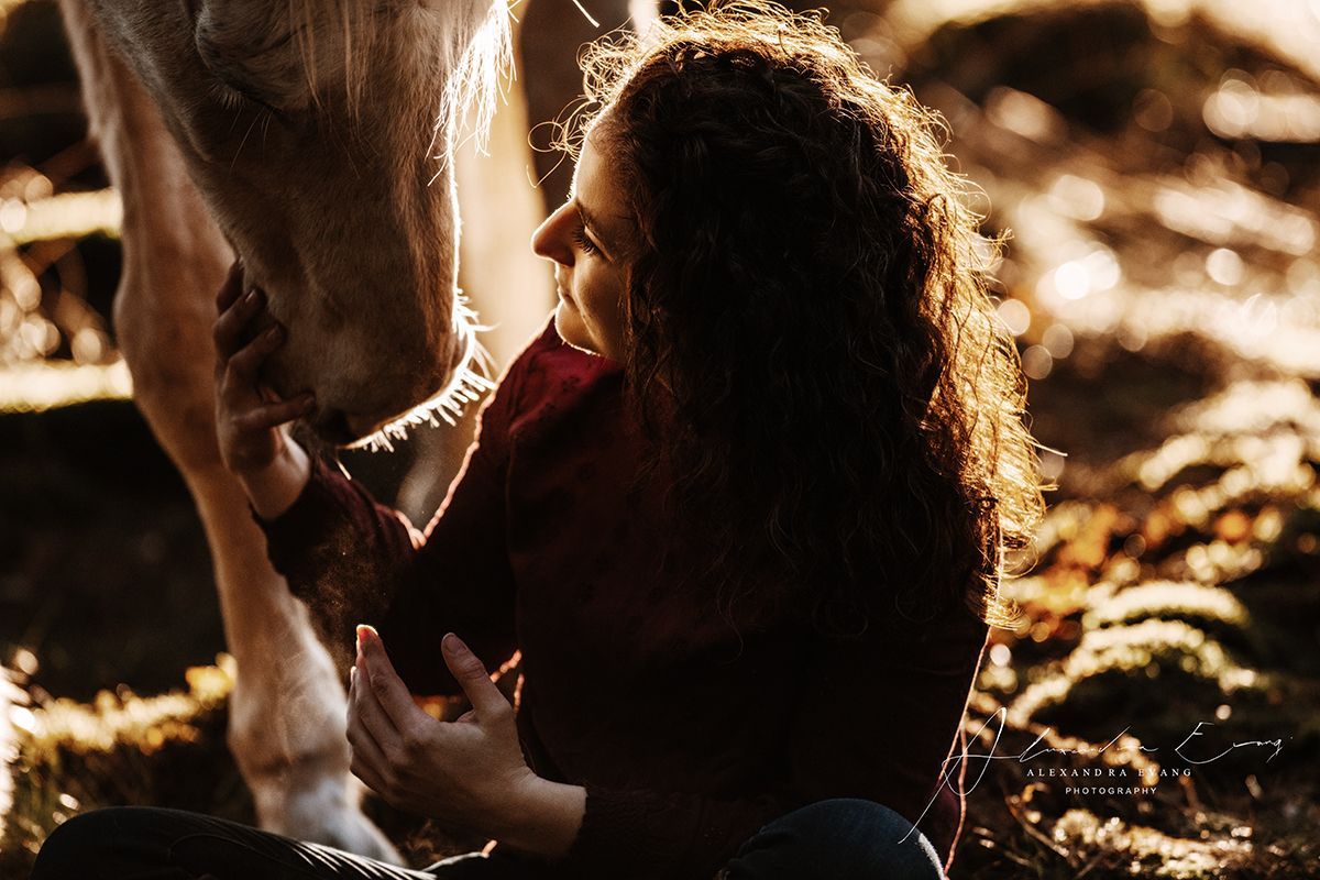 balanced humans balanced horses Pferd und Mensch