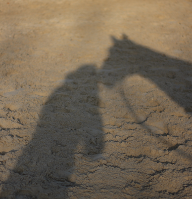 Mission Schatten von Pferd und Mensch