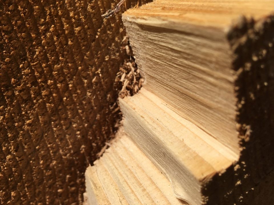 Mit Holz kann man auch leimfrei und metallfrei bauen Holz als Baustoff - ein Ökohaus ohne Leim oder Metall