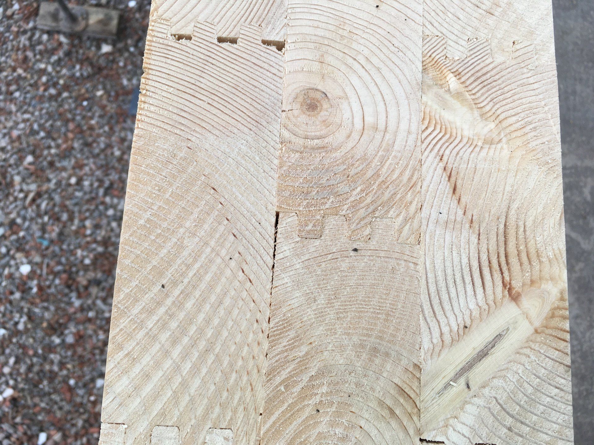 Eine Decke aus Vollholz - Holzhäuser bauen mit dem Massivholz Architekten Vollholzelement im Holzhausbau - Firma holzius