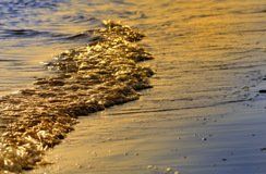 Der Puls des Lebens - wie eine Welle im Meer Breath of Life, Puls des Lebens - der craniosakrale Puls läuft wie eine Welle im Meer durch den Körper