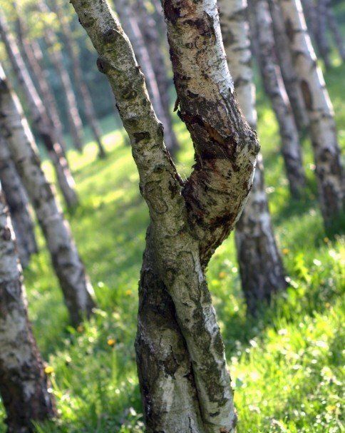 Couple at counseling