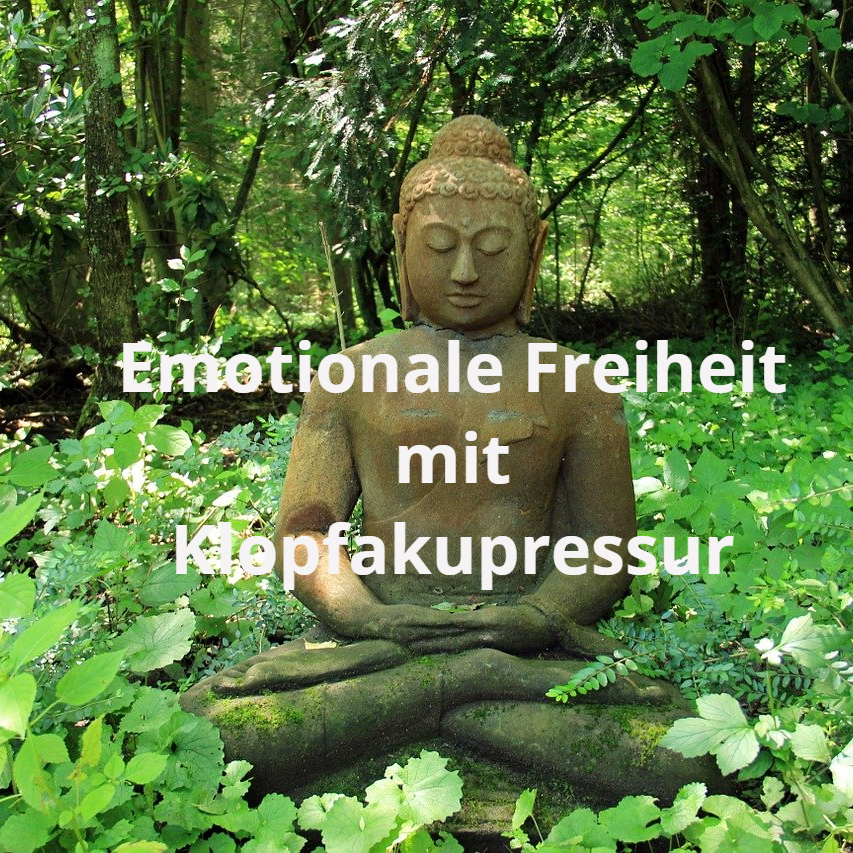 Video Klopfakurpessur Buddah im Wald