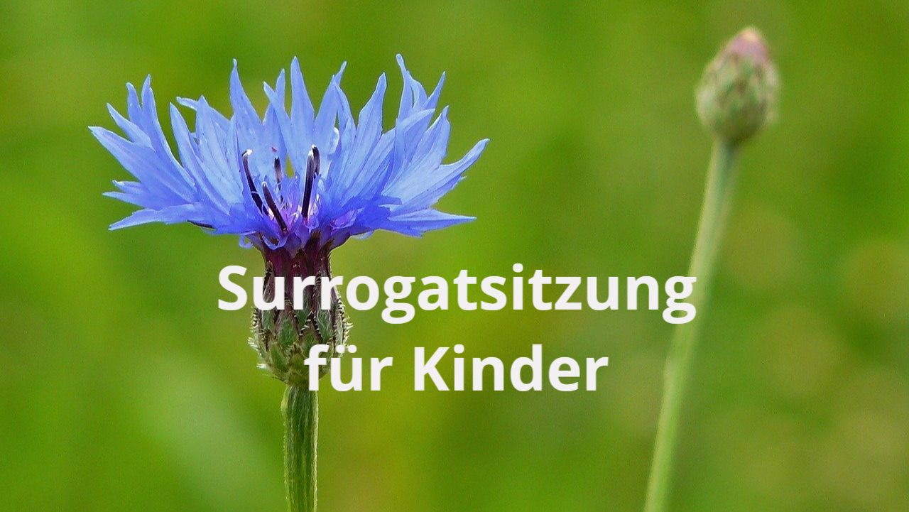 Surrogatsitzung für kleine KInder Kornblumen