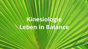 Was ist KInesiologie Palmenblatt