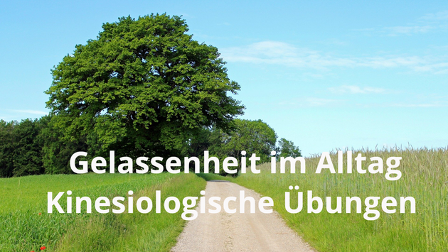 Gelassenheit durch Kinesiologieübungen Baum im Sommer