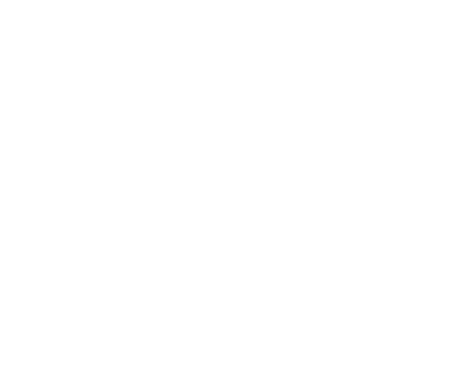 Logo Wilderness International