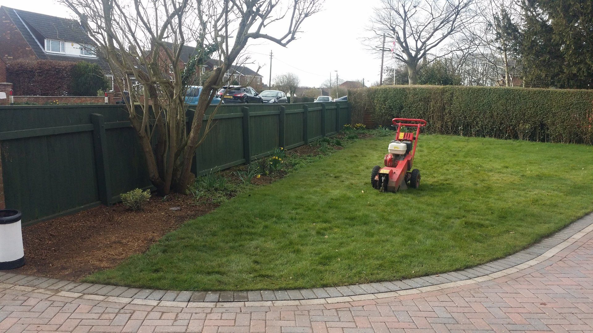 A tidy front garden after Stump Beaver removed all the stumps