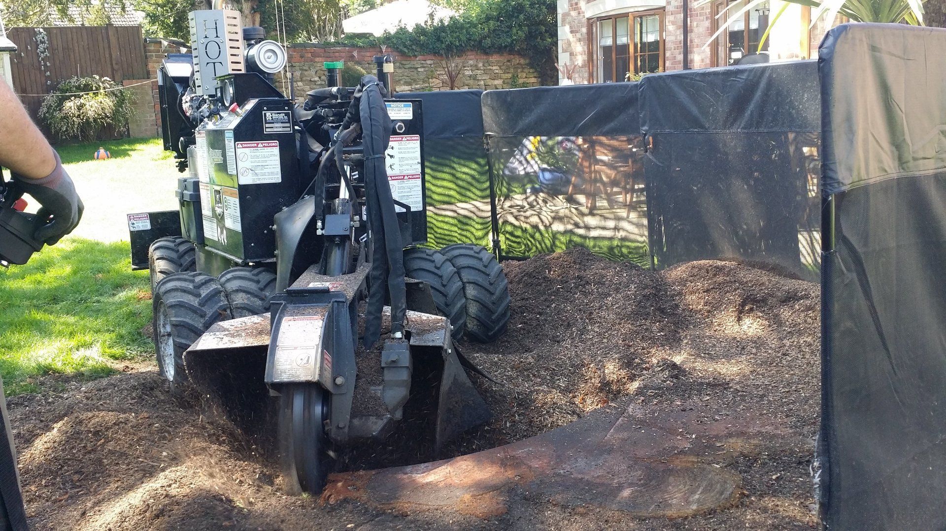 Stump grinding large stump in progress