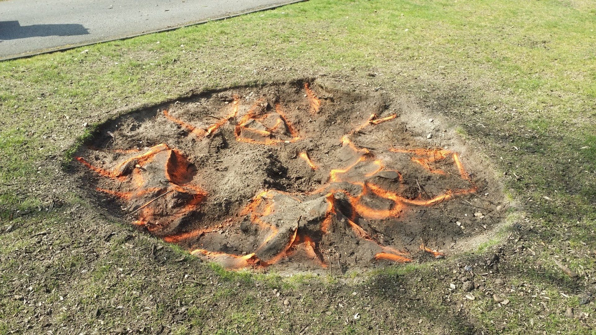 All areas of stump marked up to be ground out by Bandit 2550