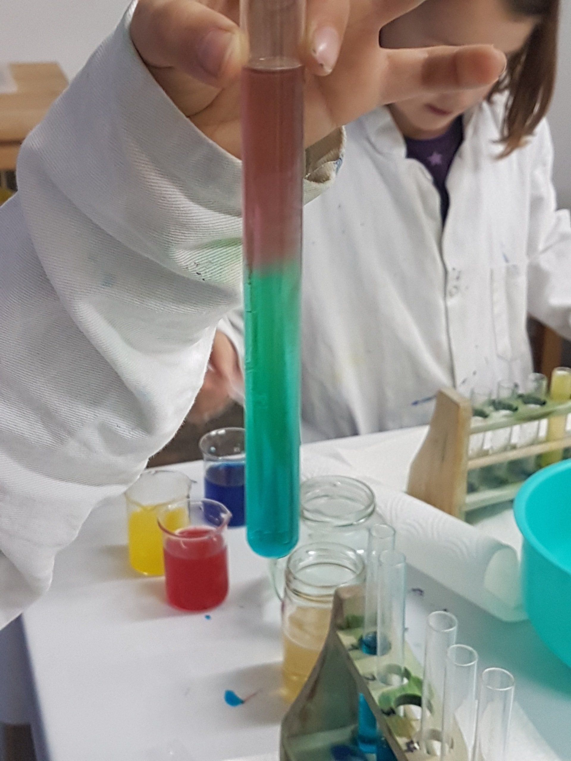 Experiment ToLinO