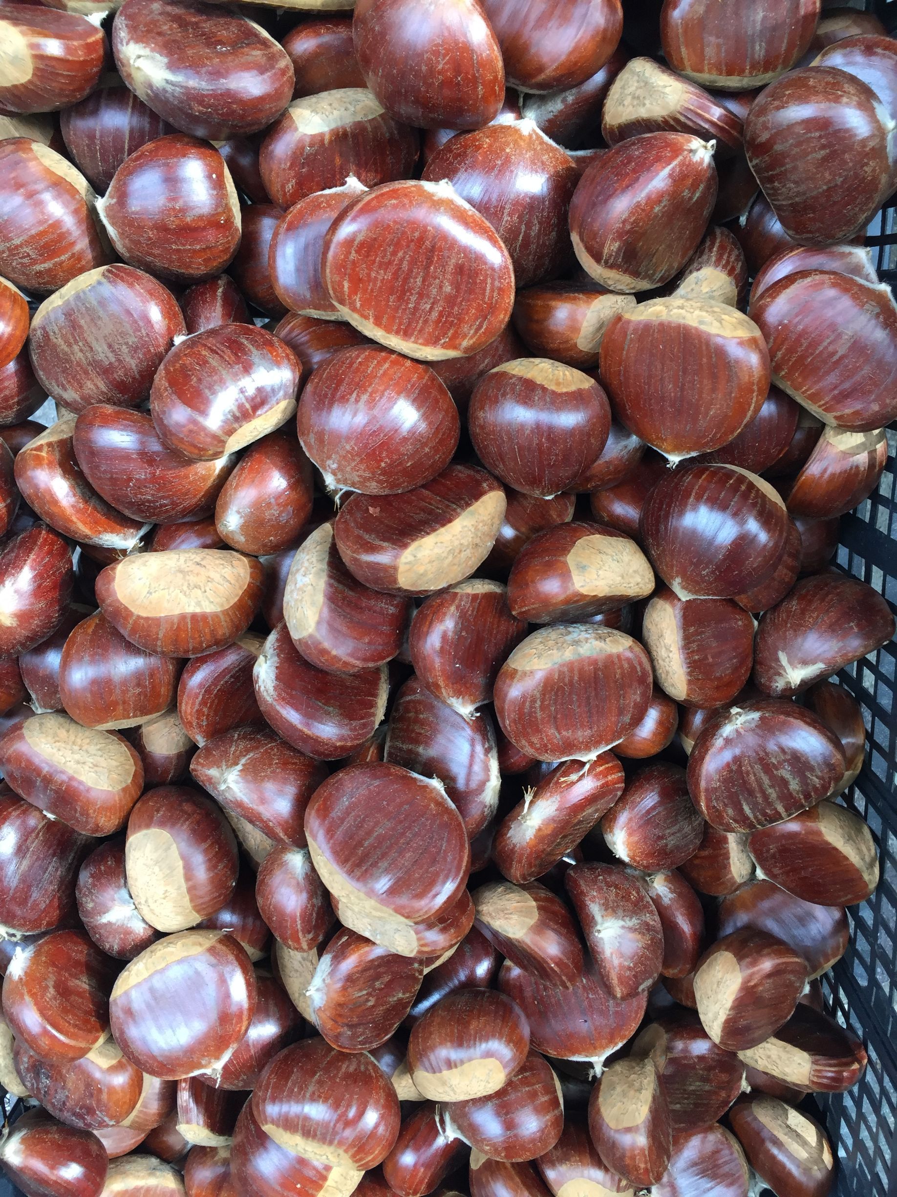 Das Bild ist gefuellt mit Esskastanien.