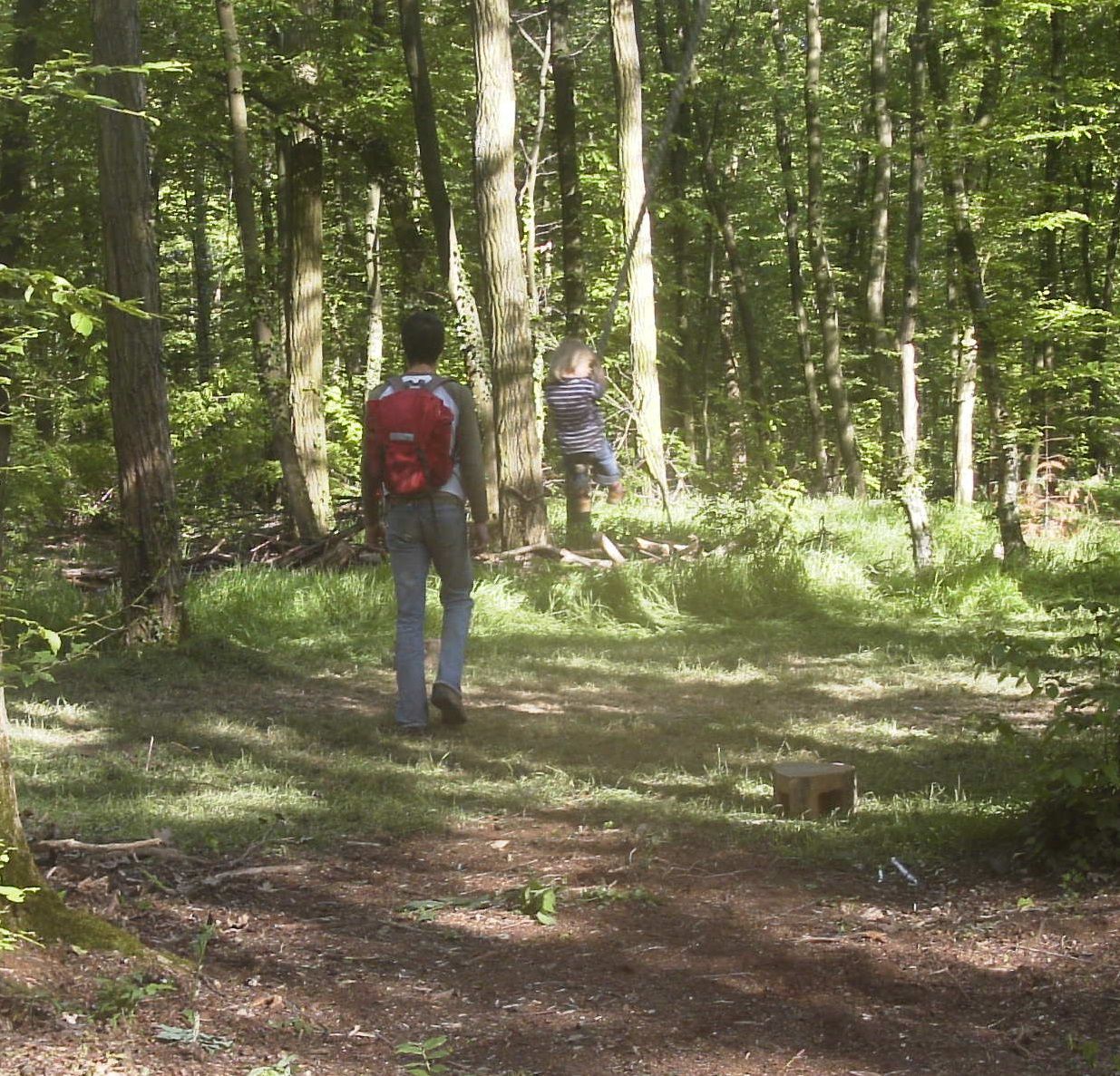 Ab in den Wald Waldpaedagogik Karlsruhe: Ab in den Wald