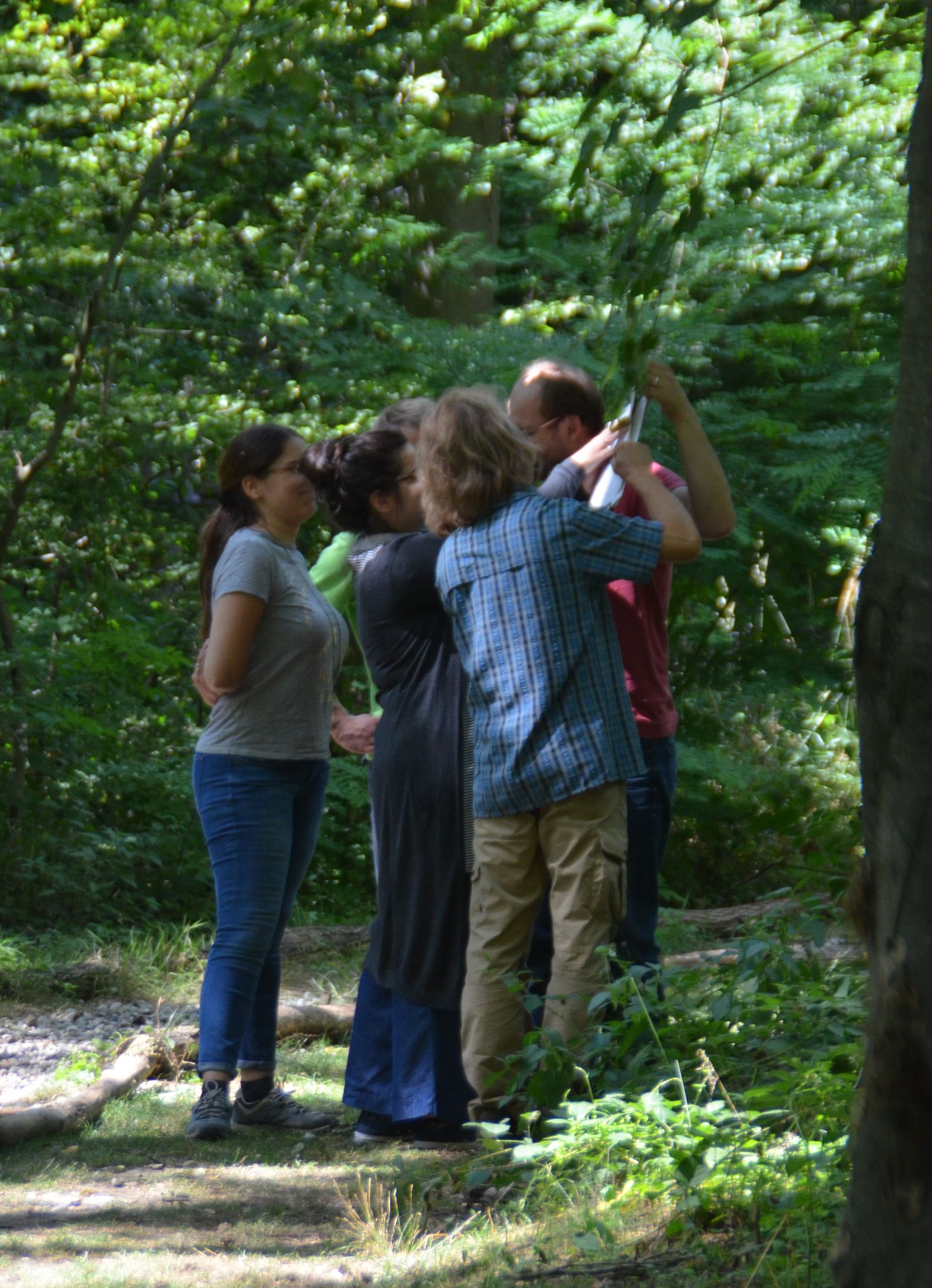 Waldpaedagogik Karlsruhe: Eine Gruppe Menschen beim Bestimmen von Blaettern