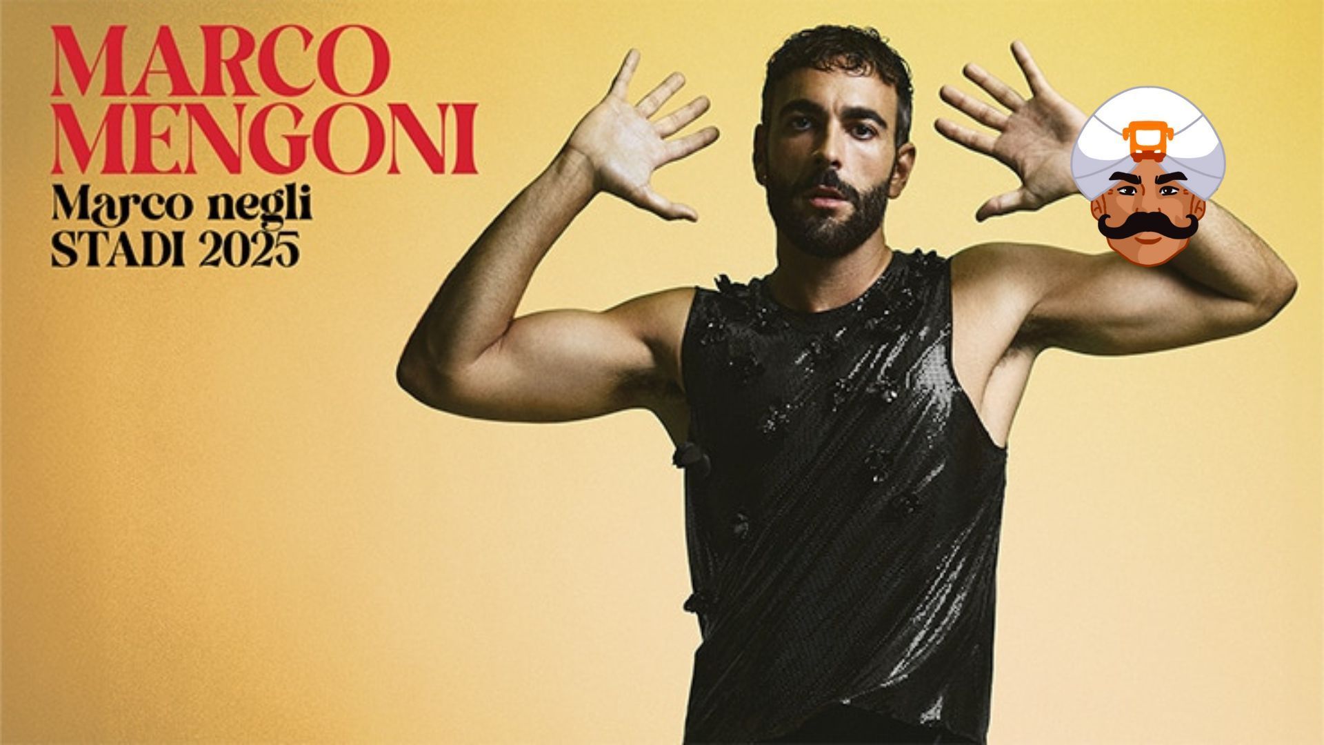 locandina mr bus ville venete