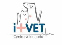 Logo I+VET