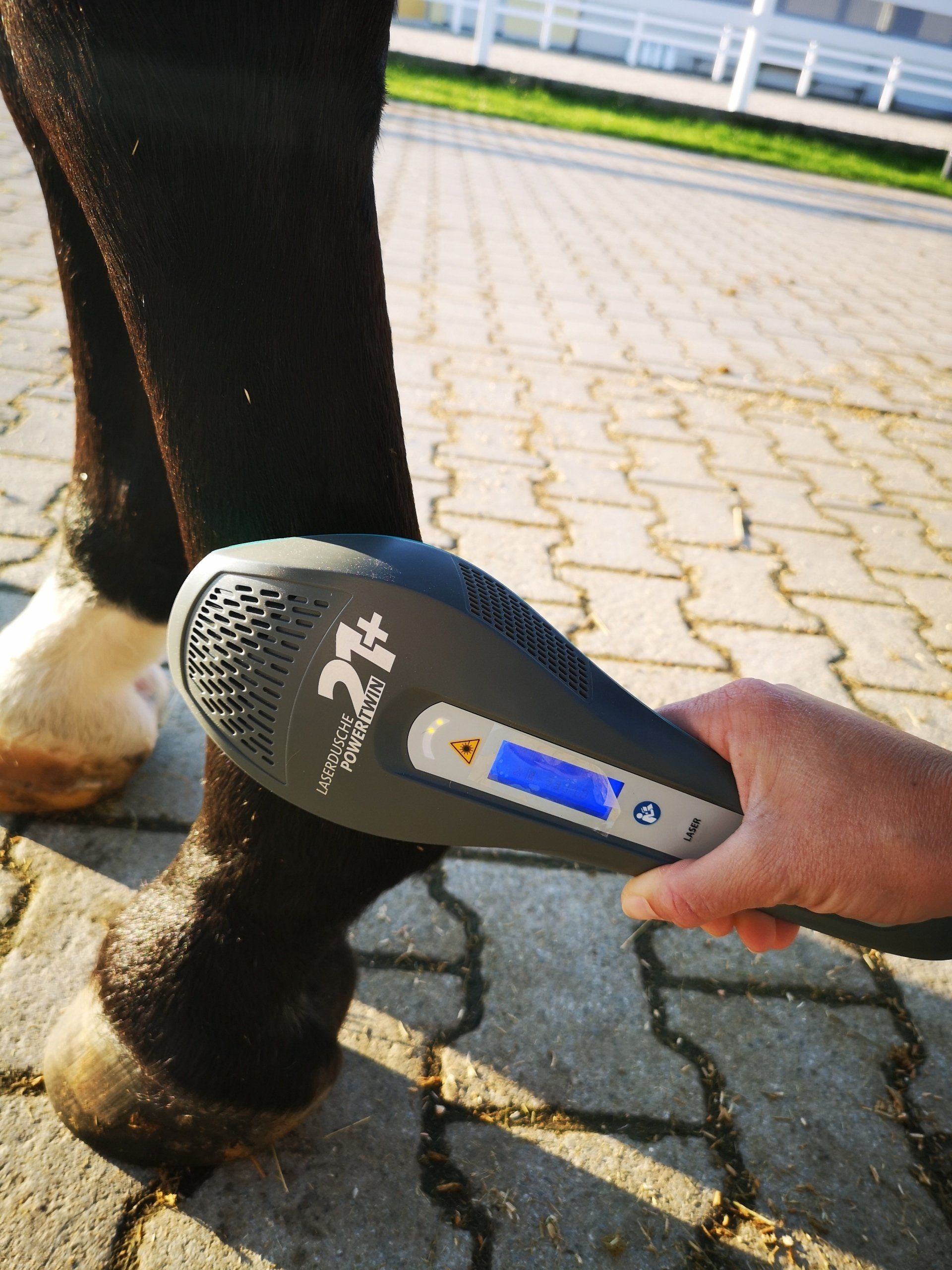 Phototherapie (Lasertherapie) des Fesselringbandes