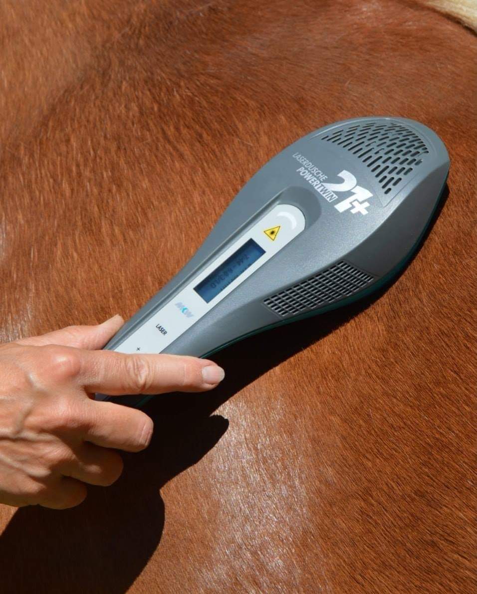 Phototherapie (Lasertherapie) der Schultermuskulatur