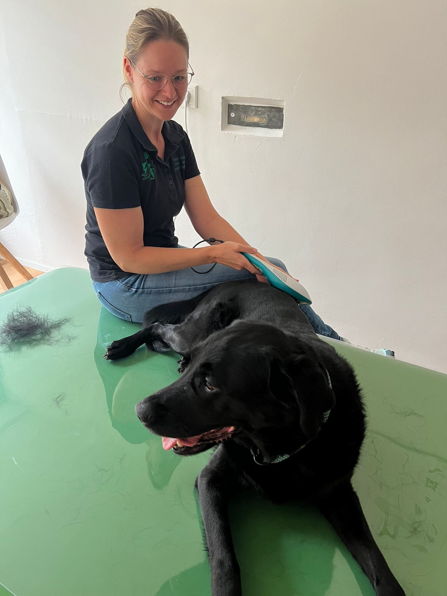 Lasertherapie der Wirbelsäule Hund